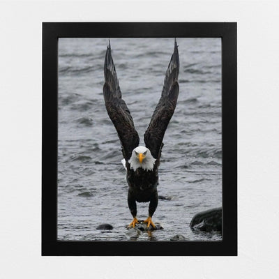 Fierce Bald Eagle at the Beach Motivational American Wall Art -8 x 10" Patriotic Eagle Photo Print-Ready to Frame. Inspirational Home-Office-School-Cave Decor. Great for Animal & Political Themes!