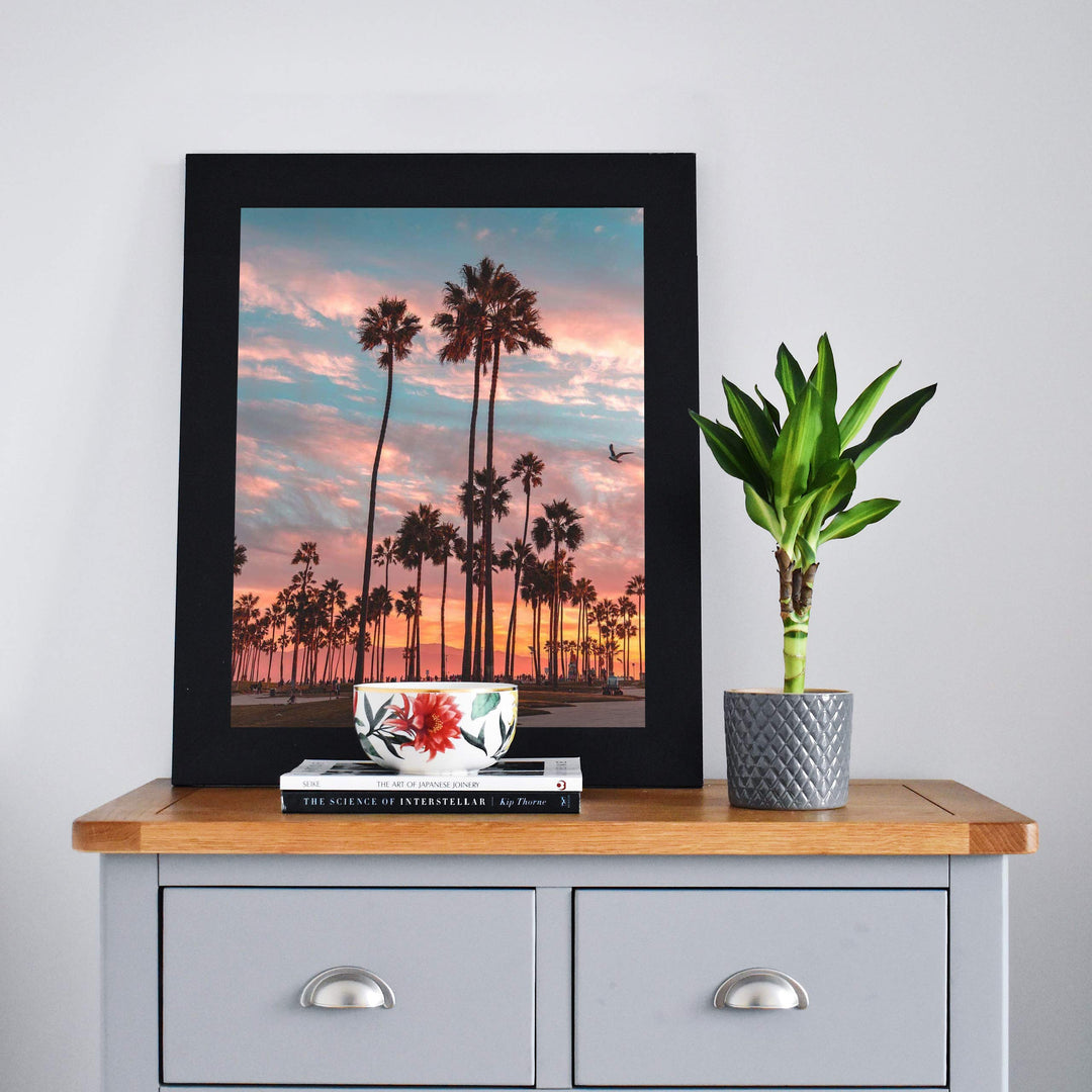 Palm Trees of Paradise- 8 x 10&
