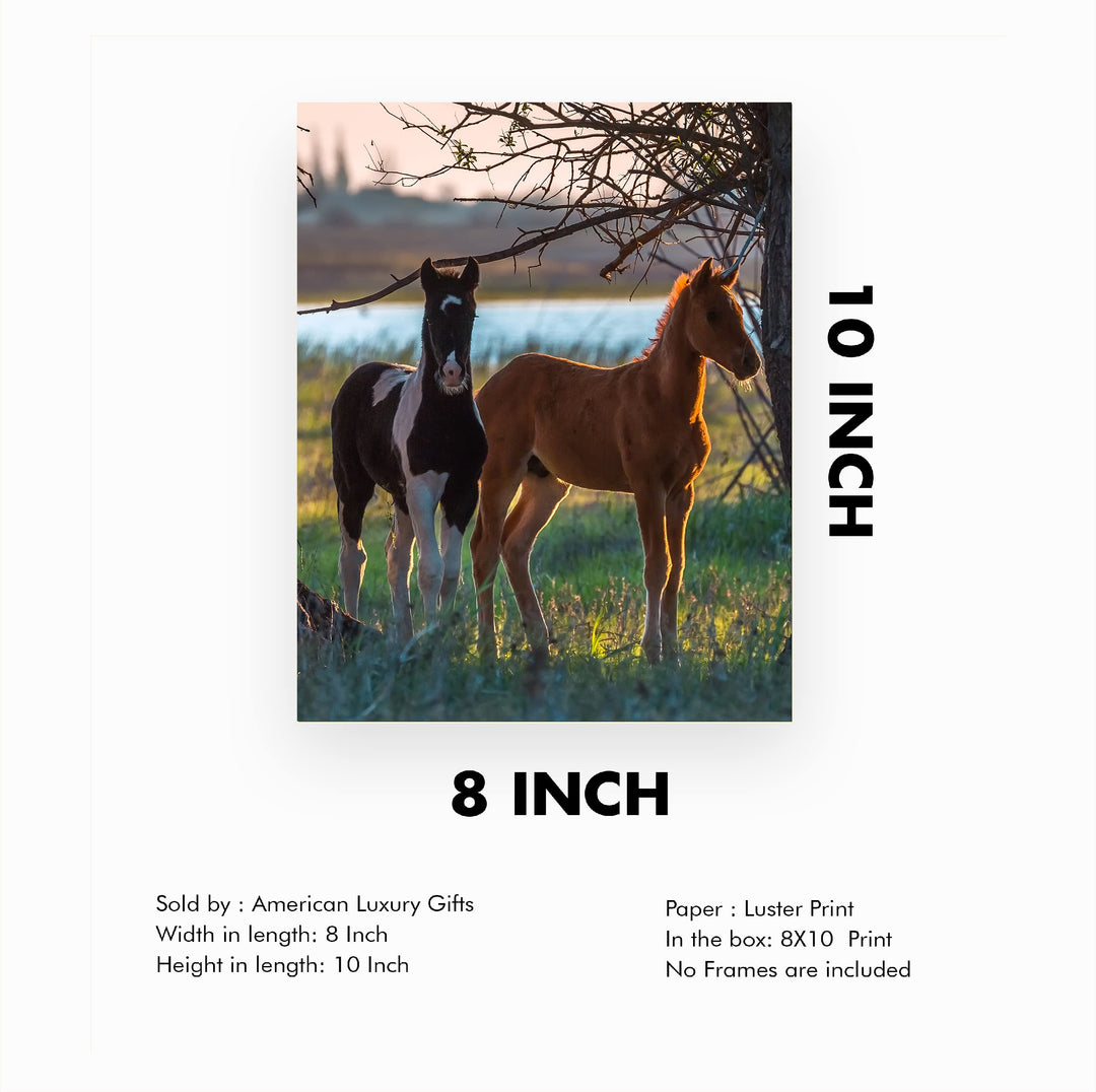 Curious Colts- 8 x 10" Horse Photo Print Wall Art-Ready to Frame. Beautiful Black-White &amp; Tan Horses. Home-Office-Bar Decor for Equestrian Themes &amp; Children&