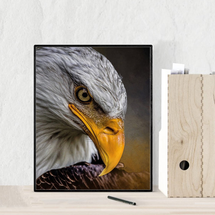 Majestic Bald Eagle Motivational American Wall Art -8 x 10" Patriotic Eagle Photo Print-Ready to Frame. Inspirational Home-Office-School-Cave Decor. Great for Animal &amp; Political Theme Wall Decor!