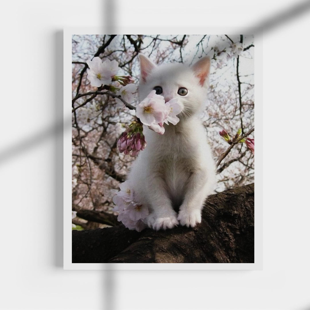 White Kitten in Tree -Inspirational Wall Art -Cute Cat in Floral Tree Photo Print- Ready to Frame. Home-Office-Teen-Girls Bedroom Decor. Perfect Animal, Pet &amp; Cats Themed Wall Decor!