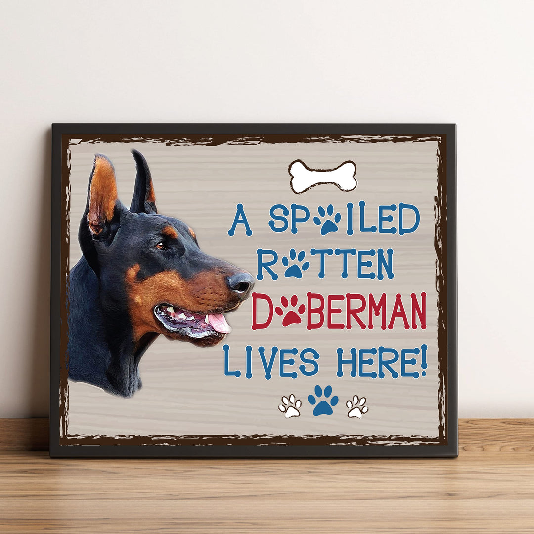 Doberman-Dog Poster Print-10 x 8" Wall Decor Sign-Ready To Frame."A Spoiled Rotten Doberman Lives Here". Perfect Pet Wall Art for Home-Kitchen-Cave-Bar-Garage. Great Gift for Doberman Owners.
