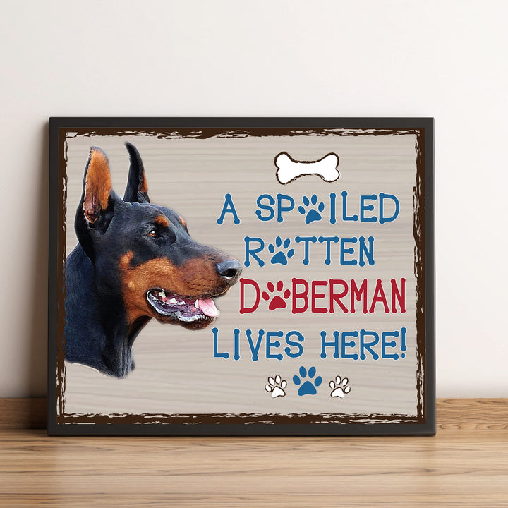 Doberman-Dog Poster Print-10 x 8" Wall Decor Sign-Ready To Frame."A Spoiled Rotten Doberman Lives Here". Perfect Pet Wall Art for Home-Kitchen-Cave-Bar-Garage. Great Gift for Doberman Owners.