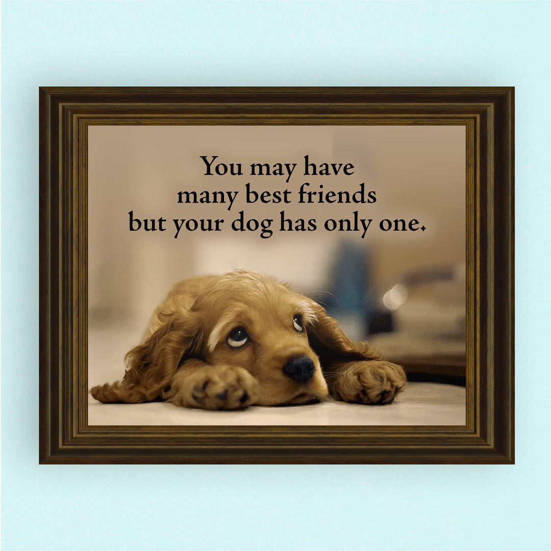 Your Dog Only Has One Best Friend Inspirational Pet Wall Art Sign -10 x 8" Cute Typographic Puppy Picture Print -Ready to Frame. Home-Vet&