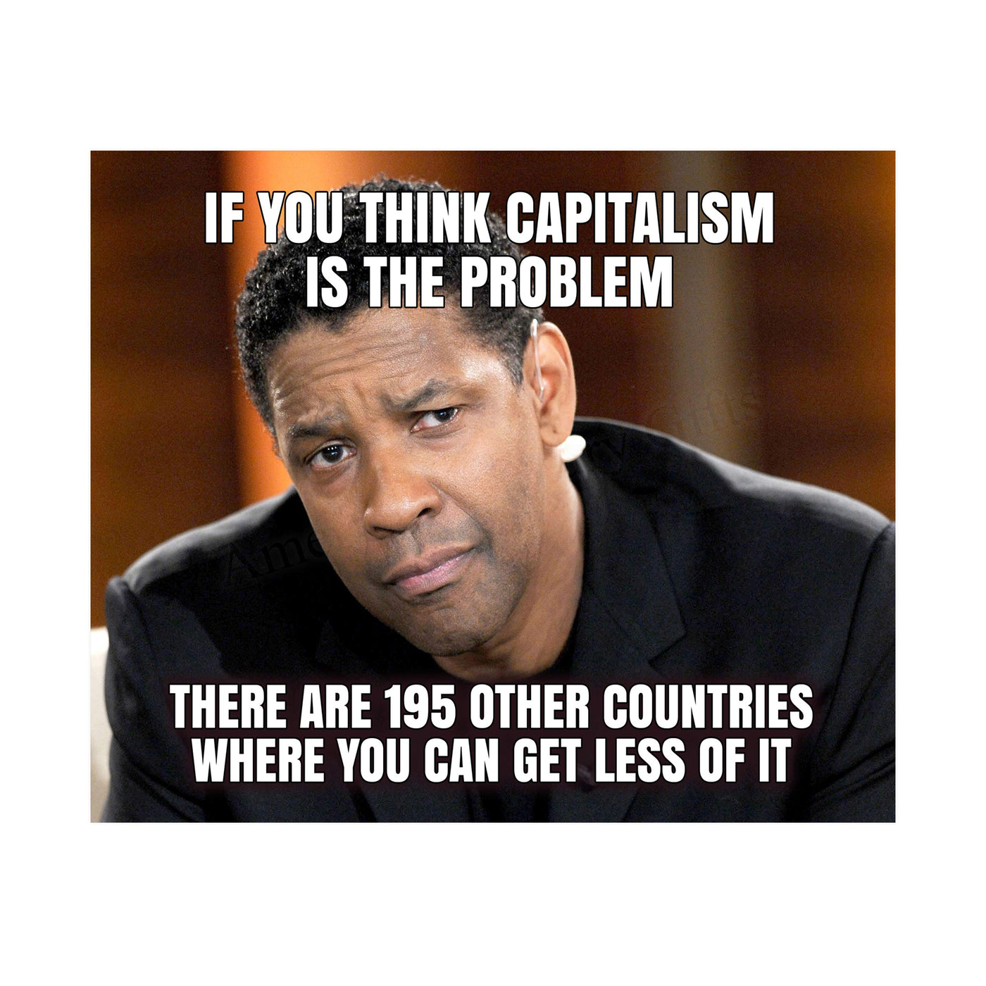 If Capitalism Is the Problem-194 Other Countries With Less of It-8 x 10" Political Quotes Wall Art Print-Ready to Frame. Motivational Home-Office-Studio-Cave Decor. Perfect for History Classroom!