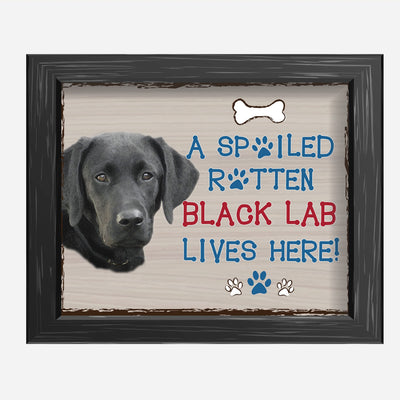 Black Lab-Dog Poster Print-10 x 8" Wall Decor Sign-Ready To Frame."A Spoiled Rotten Black Lab Lives Here". Perfect Pet Wall Art for Home-Kitchen-Cave-Bar-Garage. Great Gift for Labrador Lovers.