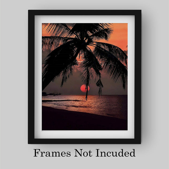 Orange Sunset Palm Trees- 8 x 10&