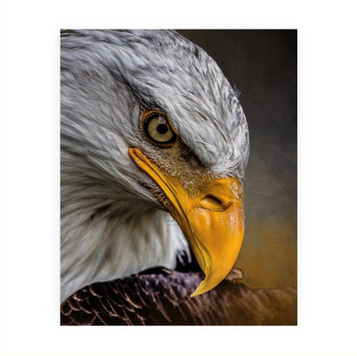 Majestic Bald Eagle Motivational American Wall Art -8 x 10" Patriotic Eagle Photo Print-Ready to Frame. Inspirational Home-Office-School-Cave Decor. Great for Animal & Political Theme Wall Decor!