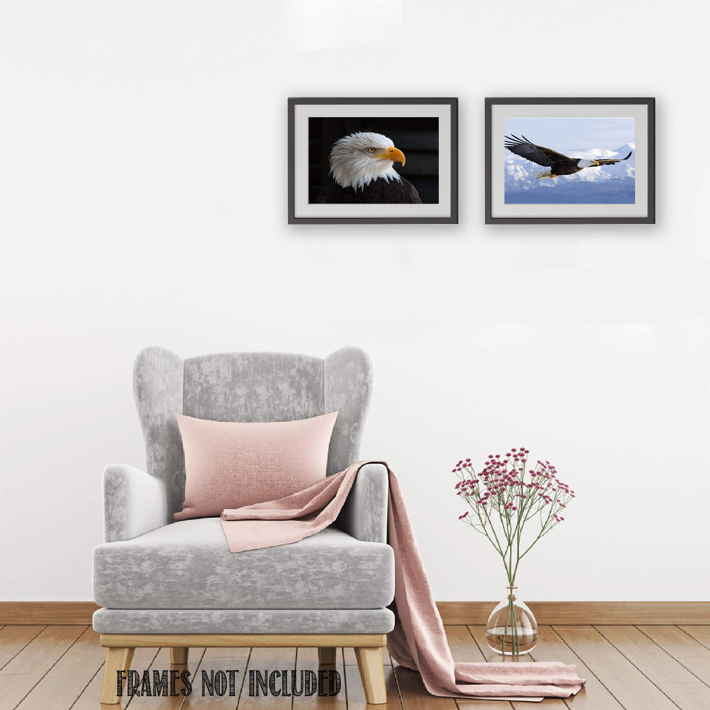 American Eagle- 2 Print Set- 8 x 10's Wall Art- Ready to Frame- Home D?cor, Office D?cor & Wall Prints for Animal & Patriotic Theme Wall Decor. Majestic & Fearless Eagle Profile & Soaring in Flight.