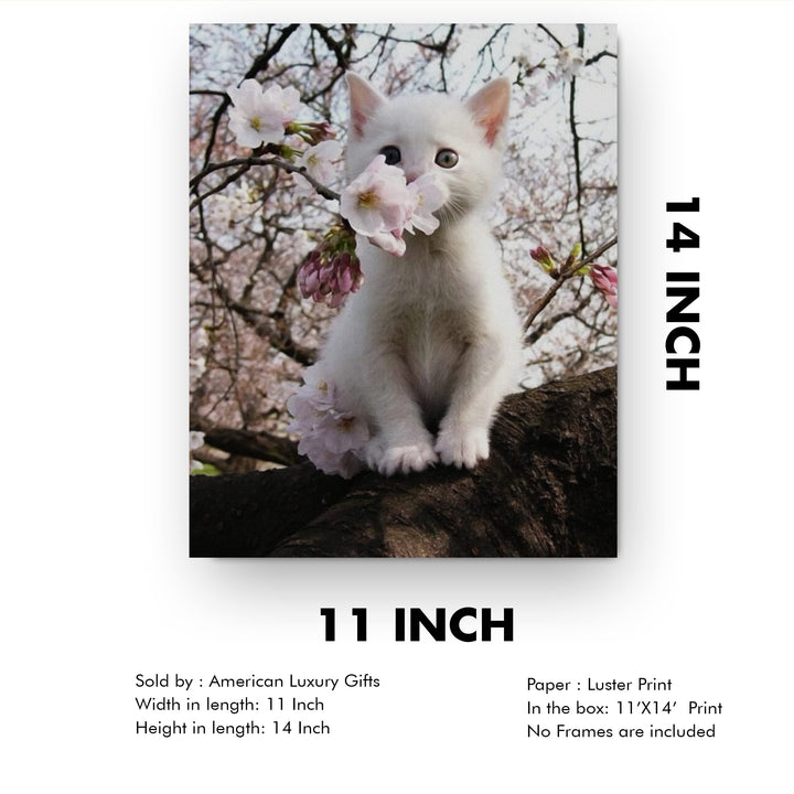 White Kitten in Tree -Inspirational Wall Art -Cute Cat in Floral Tree Photo Print- Ready to Frame. Home-Office-Teen-Girls Bedroom Decor. Perfect Animal, Pet &amp; Cats Themed Wall Decor!
