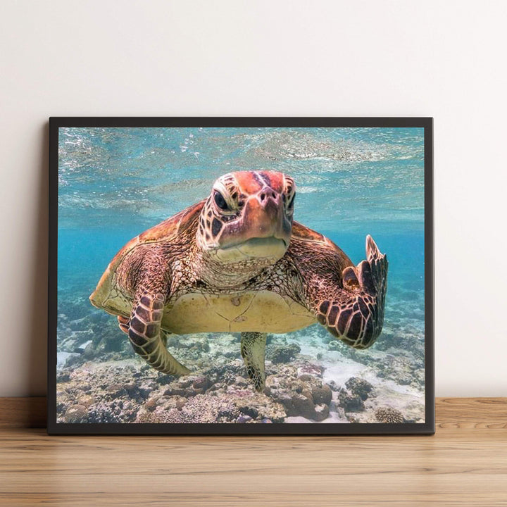 Sea Turtle Swimming In Ocean-Coral Reef -10x8" Colorful Marine Wall Art Print-Ready to Frame. Beach Decor for Home-Office-Studio-Beach House. Perfect for Coastal &amp; Nautical Themes! Great Gift!