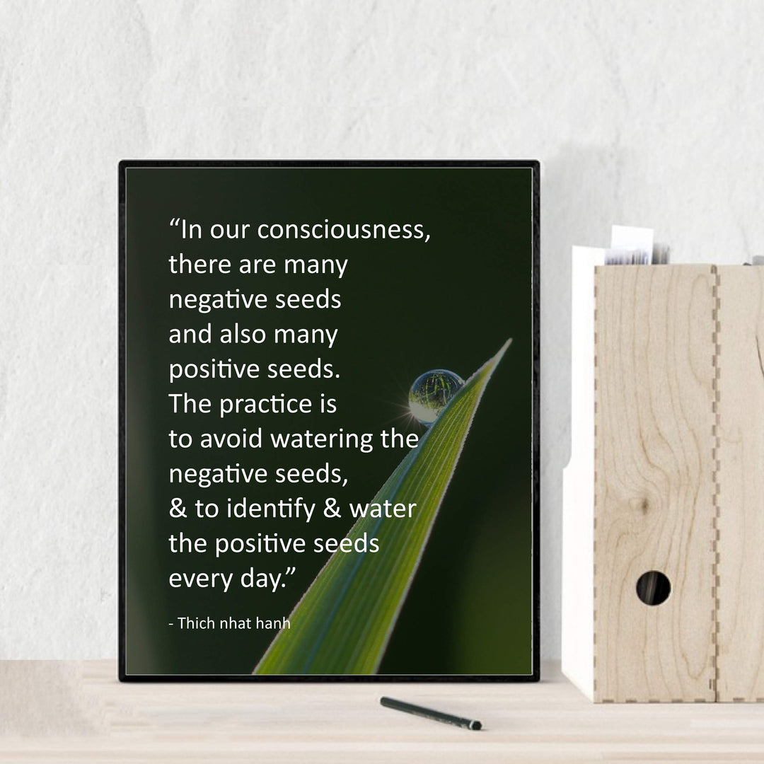 Identify and Water the Positive Seeds Every Day -Thich Nhat Hanh Mindfulness Quotes -8 x 10" Spiritual Wall Art Print-Ready to Frame. Home-Office-Studio-Meditation-Zen Decor. Great Reminder!