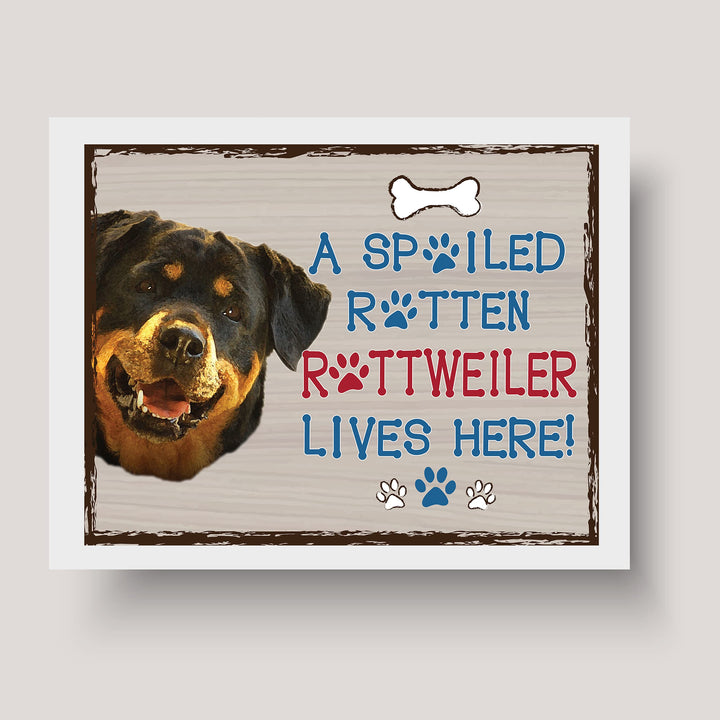 Rottweiler- Dog Poster Print- 10 x 8" Wall Decor Sign-Ready To Frame."A Spoiled Rotten Rottweiler Lives Here". Perfect Pet Wall Art for Home-Kitchen-Cave-Bar-Garage. Great Gift for Rottweiler Owners.