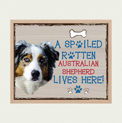 Australian Shepherd-Dog Poster Print-10 x 8" Wall Decor Sign-Ready To Frame."A Spoiled Rotten Australian Shepherd Lives Here". Perfect Pet Wall Art for Home-Kitchen-Cave-Garage. Gift for Aussie Fans!