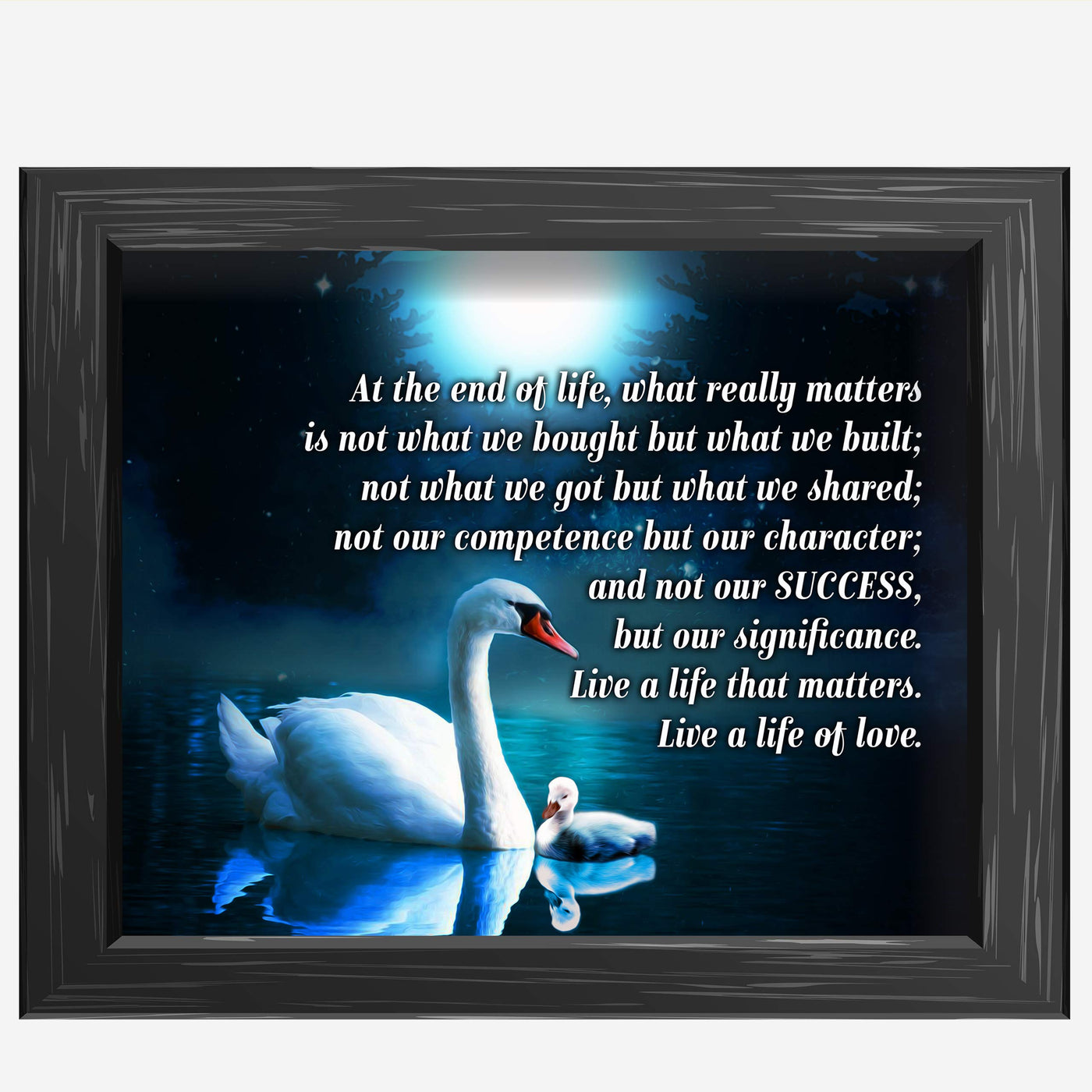 Live A Life That Matters-Live A Life of Love-Inspirational Quotes Wall Art -10 x 8" Motivational Poster Print w/Swan Images-Ready to Frame. Home-Office-Studio-Dorm Decor. Great Positive Sign!