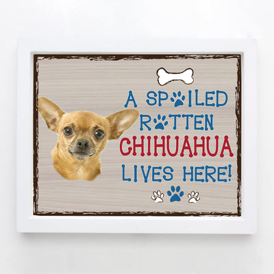 Chihuahua-Dog Poster Print-10 x 8" Wall Decor Sign-Ready To Frame."A Spoiled Rotten Chihuahua Lives Here". Perfect Pet Wall Art for Home-Kitchen-Cave-Garage. Great Gift for Chihuahua Owners!