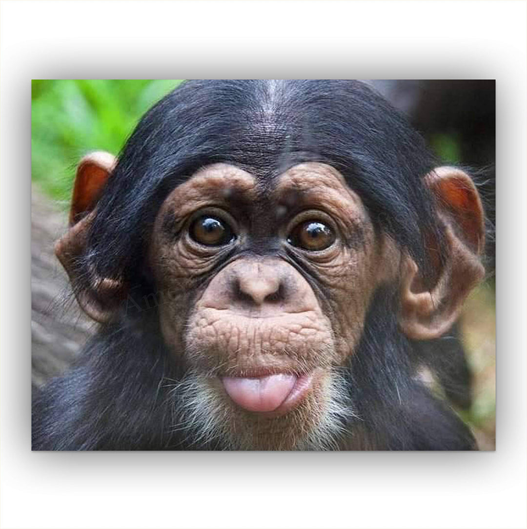 Baby Chimp w/Funny Face- 10 x 8" Photographic Wall Art Print- Ready to Frame. Home-Nursery-Party Decor. Perfect for Zoo Themes &amp; Children&