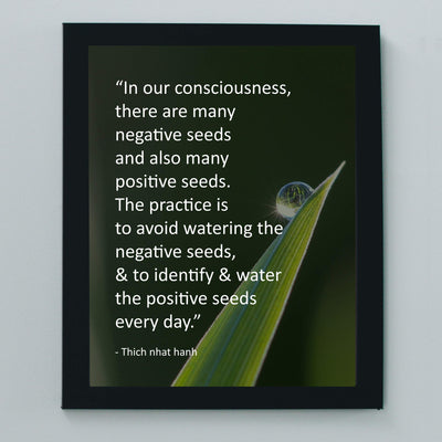 Identify and Water the Positive Seeds Every Day -Thich Nhat Hanh Mindfulness Quotes -8 x 10" Spiritual Wall Art Print-Ready to Frame. Home-Office-Studio-Meditation-Zen Decor. Great Reminder!