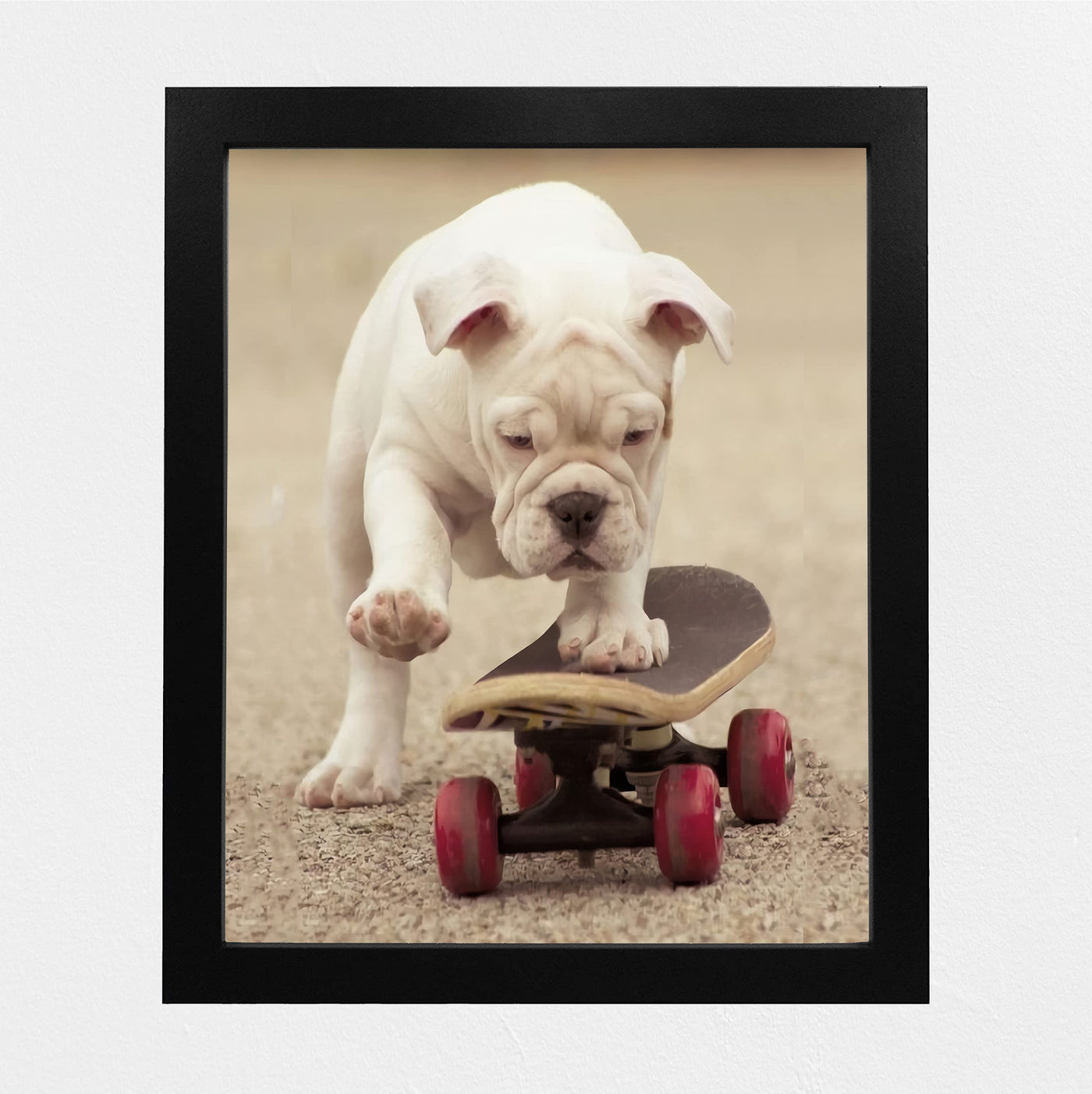 Cute Bulldog Puppy Riding A Skateboard-Funny Dog Photo Print-8 x 10" Wall Art Decor-Ready to Frame. Perfect Pet Wall Art for Home-Kitchen-Cave-Bar-Garage. Great Gift for English Bulldog Lovers!