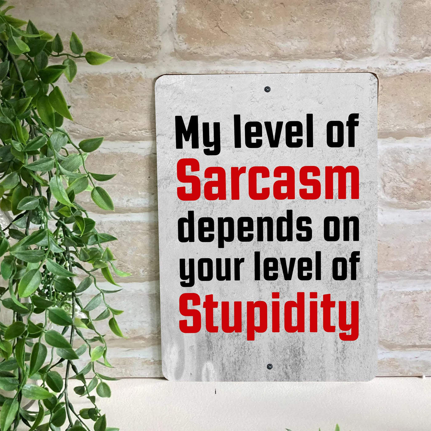 Level of Sarcasm Depends on Stupidity Metal Signs Vintage Wall Art -8 x 12" Funny Rustic Sign for Bar, Garage, Man Cave, Shop -Retro Tin Sign for Home-Office Decor, Accessories & Sarcastic Gifts!