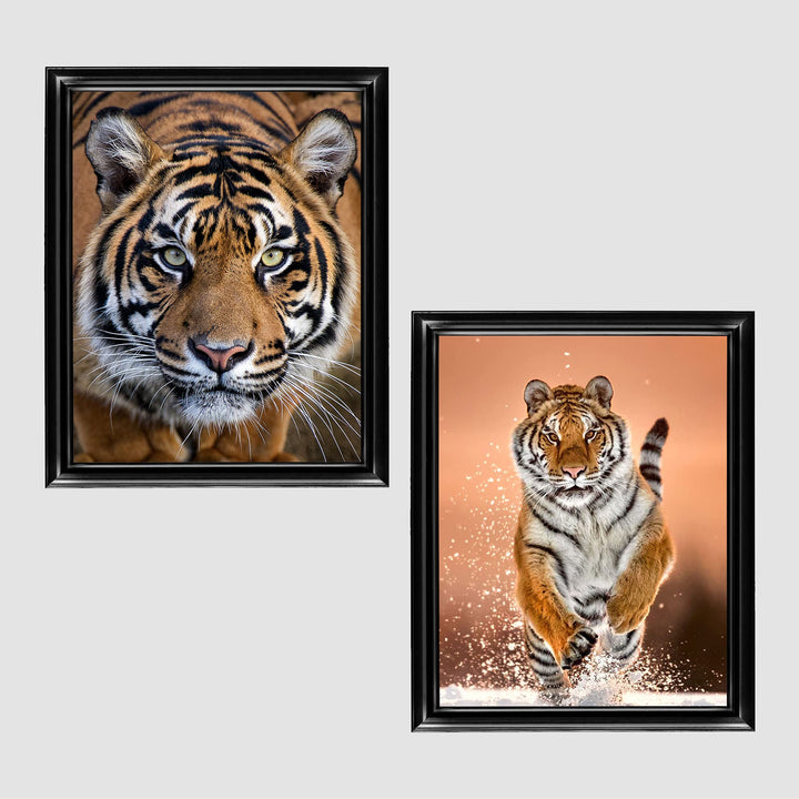 Majestic Tiger Set- 2 Piece-8 x 10&