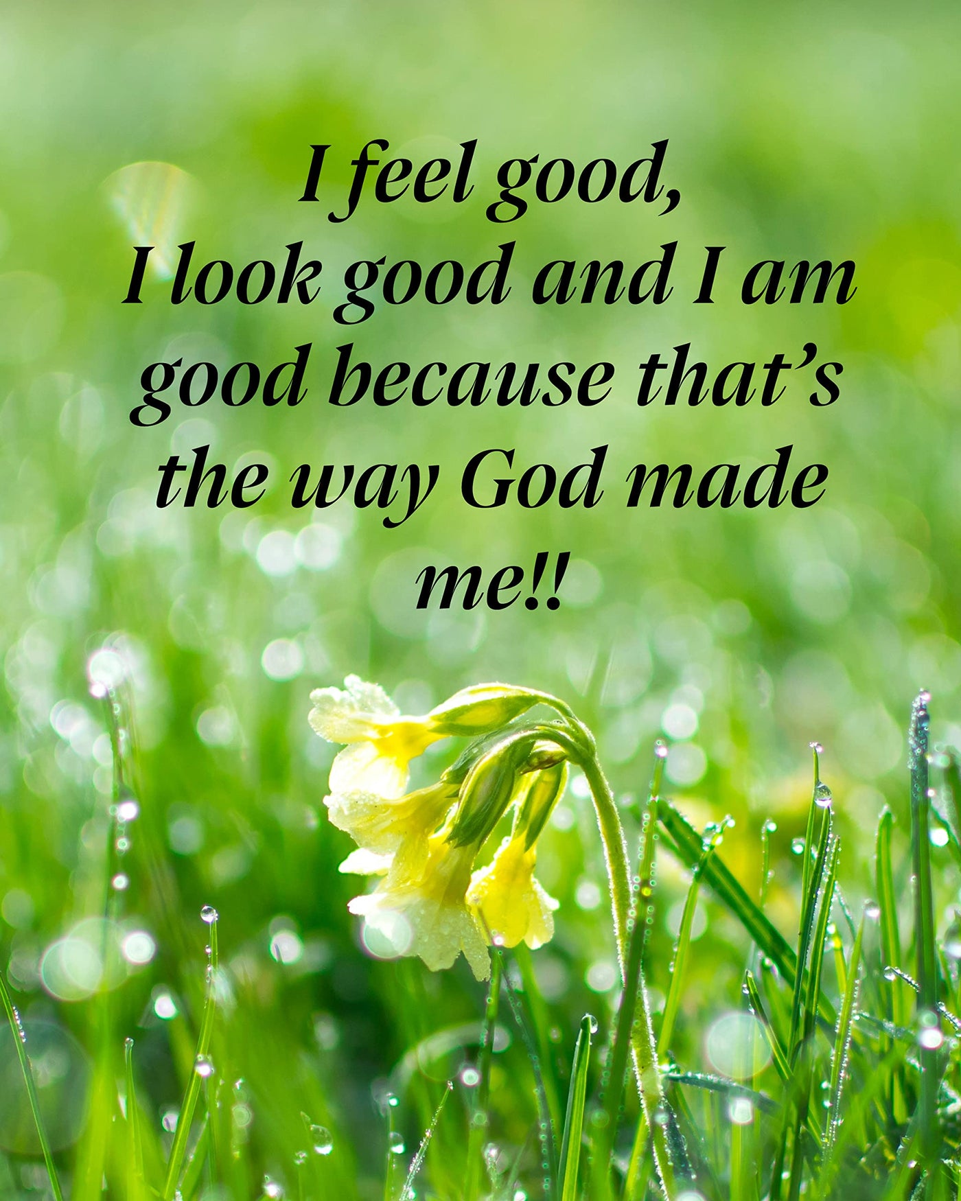 I Feel-Look Good-Way God Made Me Inspirational Christian Wall Art Decor -8 x 10" Flower in Grass Photo Print -Ready to Frame. Motivational Home-Office-Church-Religious Decor. Great Gift of Faith!