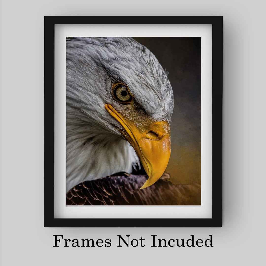 Majestic Bald Eagle Motivational American Wall Art -8 x 10" Patriotic Eagle Photo Print-Ready to Frame. Inspirational Home-Office-School-Cave Decor. Great for Animal &amp; Political Theme Wall Decor!