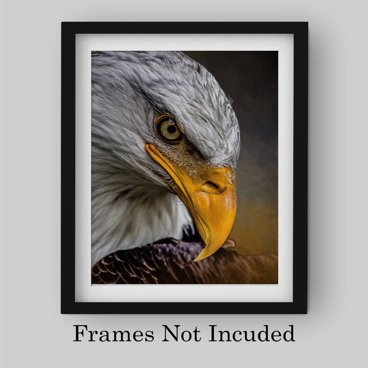 Majestic Bald Eagle Motivational American Wall Art -8 x 10" Patriotic Eagle Photo Print-Ready to Frame. Inspirational Home-Office-School-Cave Decor. Great for Animal &amp; Political Theme Wall Decor!
