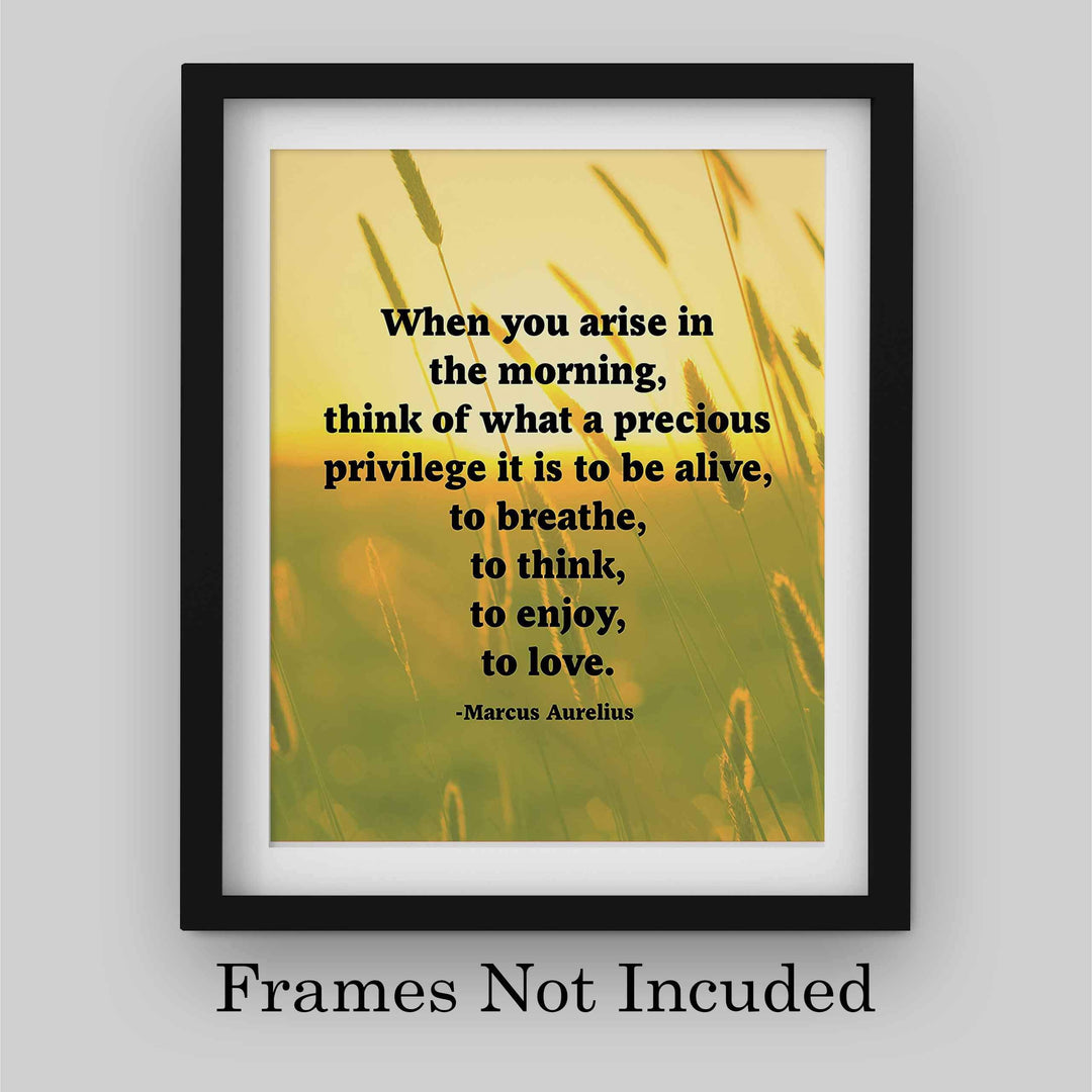 Marcus Aurelius Quotes-"When You Arise in the Morning"-Inspirational Wall Art -8 x 10" Sunset Meadow Print-Ready to Frame. Perfect Home-Office-Classroom-Dorm Decor. Great Philosophical Quote!