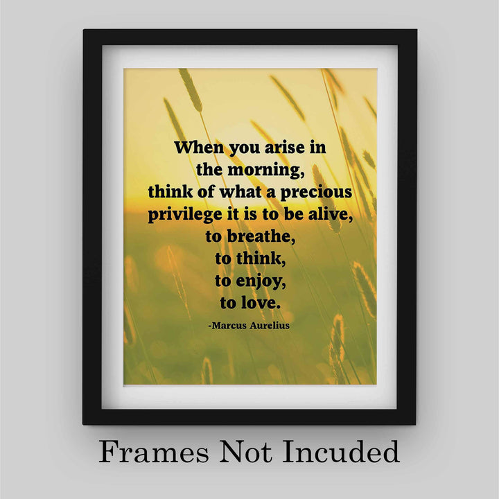 Marcus Aurelius Quotes-"When You Arise in the Morning"-Inspirational Wall Art -8 x 10" Sunset Meadow Print-Ready to Frame. Perfect Home-Office-Classroom-Dorm Decor. Great Philosophical Quote!