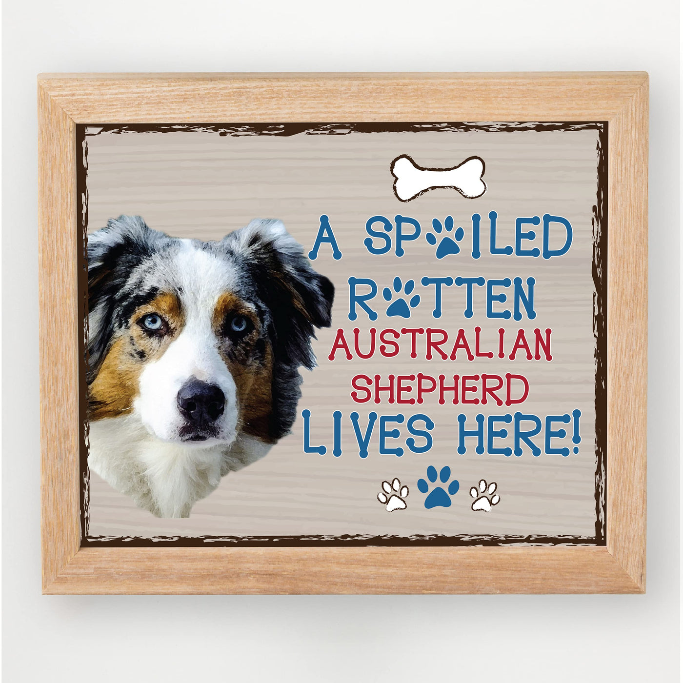 Australian Shepherd-Dog Poster Print-10 x 8" Wall Decor Sign-Ready To Frame."A Spoiled Rotten Australian Shepherd Lives Here". Perfect Pet Wall Art for Home-Kitchen-Cave-Garage. Gift for Aussie Fans!