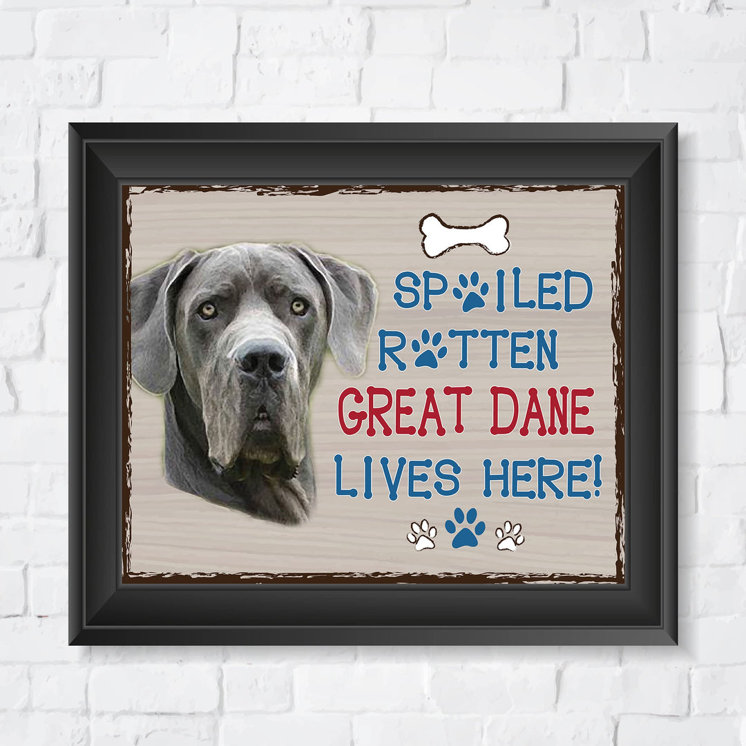 Great Dane-Dog Poster Print-10 x 8" Wall Decor Sign-Ready To Frame."A Spoiled Rotten Great Dane Lives Here". Perfect Pet Wall Art for Home-Kitchen-Cave-Bar-Garage. Great Gift for Great Dane Owners!