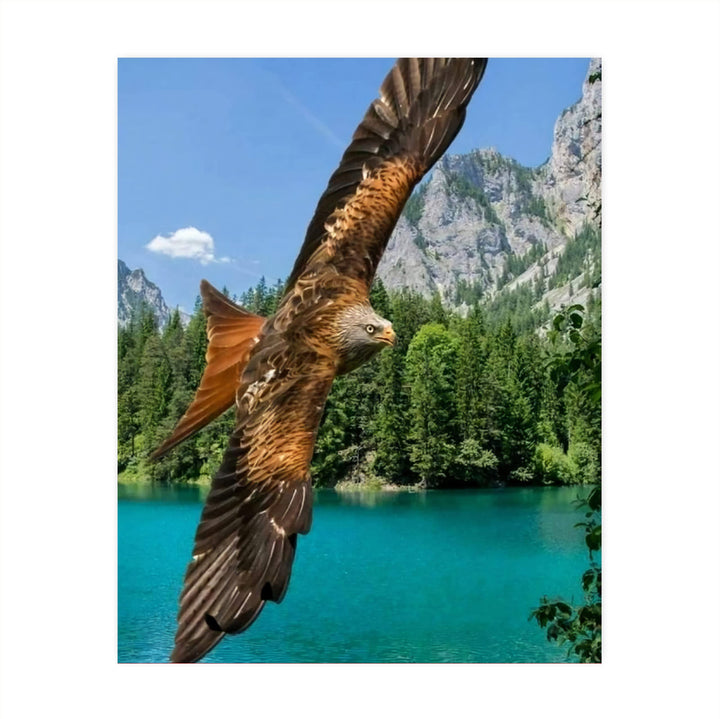 Fierce Bald Eagle in Flight Motivational American Wall Art-8 x 10" Patriotic Mountain Lake Photo Print-Ready to Frame. Inspirational Home-Office-School Decor. Great for Animal &amp; Political Themes!