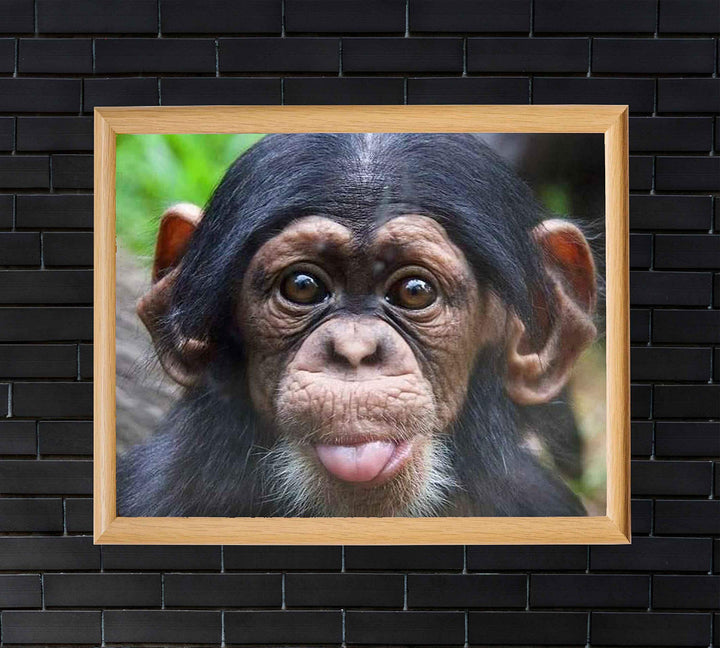 Baby Chimp w/Funny Face- 10 x 8" Photographic Wall Art Print- Ready to Frame. Home-Nursery-Party Decor. Perfect for Zoo Themes &amp; Children&