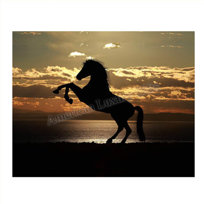 Majestic Horse at Sunset - 8 x 10 Print Wall Art- Ready to Frame- Home D?cor, Office D?cor & Wall Prints for Animal, Horse & Beach Theme Wall Decor. Feel the Power of the Stallion Rearing Up!