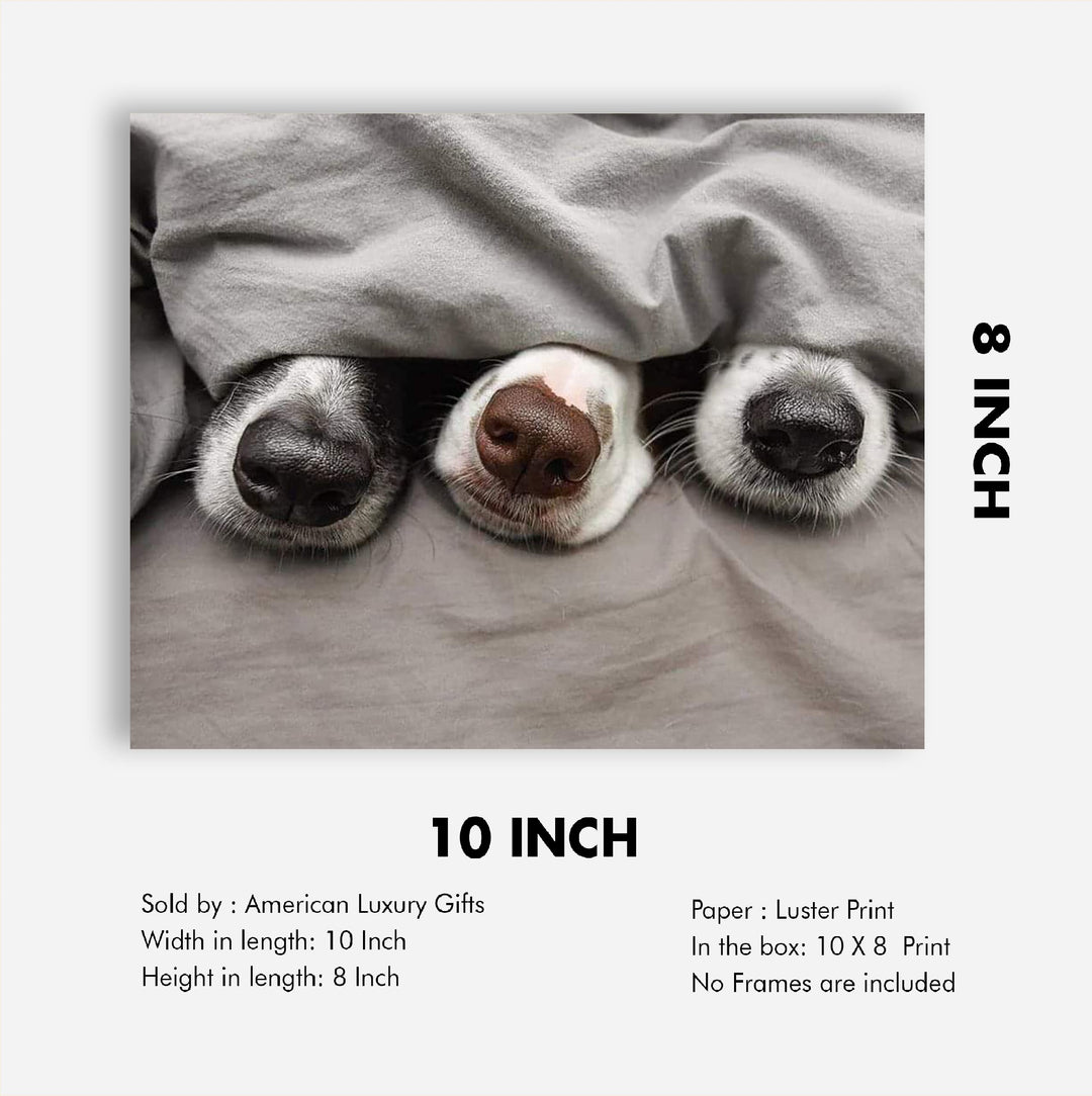 Adorable Puppy Noses Peeking Out- Funny Dog Nose Wall Art- 10 x 8" Inspirational Pet Lovers Picture Print -Ready to Frame. Home, Pet Shop, Nursery, Vet&