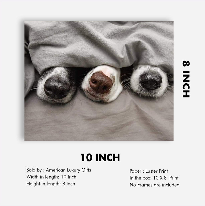 Adorable Puppy Noses Peeking Out- Funny Dog Nose Wall Art- 10 x 8" Inspirational Pet Lovers Picture Print -Ready to Frame. Home, Pet Shop, Nursery, Vet&