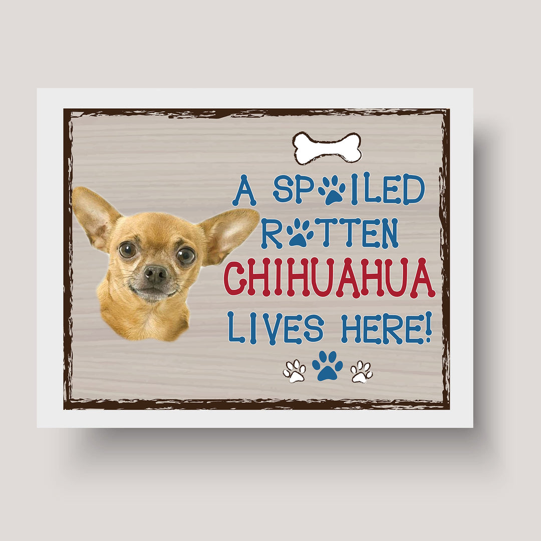 Chihuahua-Dog Poster Print-10 x 8" Wall Decor Sign-Ready To Frame."A Spoiled Rotten Chihuahua Lives Here". Perfect Pet Wall Art for Home-Kitchen-Cave-Garage. Great Gift for Chihuahua Owners!