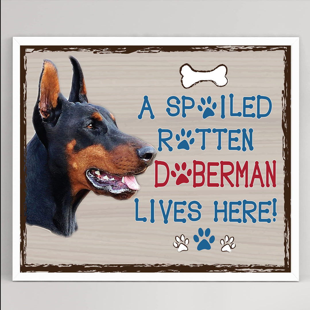 Doberman-Dog Poster Print-10 x 8" Wall Decor Sign-Ready To Frame."A Spoiled Rotten Doberman Lives Here". Perfect Pet Wall Art for Home-Kitchen-Cave-Bar-Garage. Great Gift for Doberman Owners.