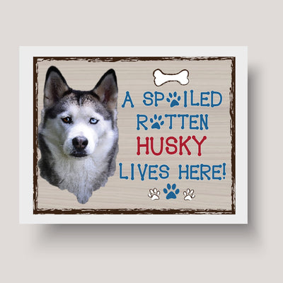 Siberian Husky-Dog Poster Print-10 x 8" Wall Decor Sign-Ready To Frame."A Spoiled Rotten Husky Lives Here". Perfect Pet Wall Art for Home-Kitchen-Cave-Bar-Garage. Great Gift for Siberian Husky Fans!