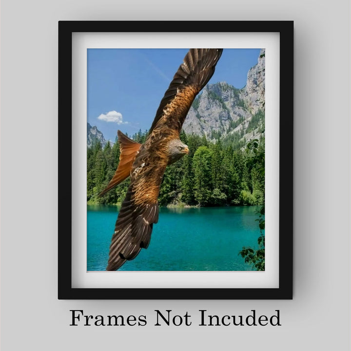 Fierce Bald Eagle in Flight Motivational American Wall Art-8 x 10" Patriotic Mountain Lake Photo Print-Ready to Frame. Inspirational Home-Office-School Decor. Great for Animal &amp; Political Themes!