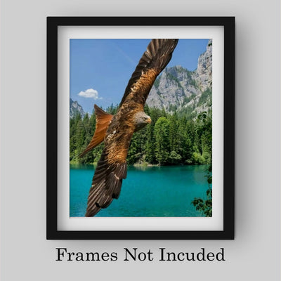Fierce Bald Eagle in Flight Motivational American Wall Art-8 x 10" Patriotic Mountain Lake Photo Print-Ready to Frame. Inspirational Home-Office-School Decor. Great for Animal & Political Themes!