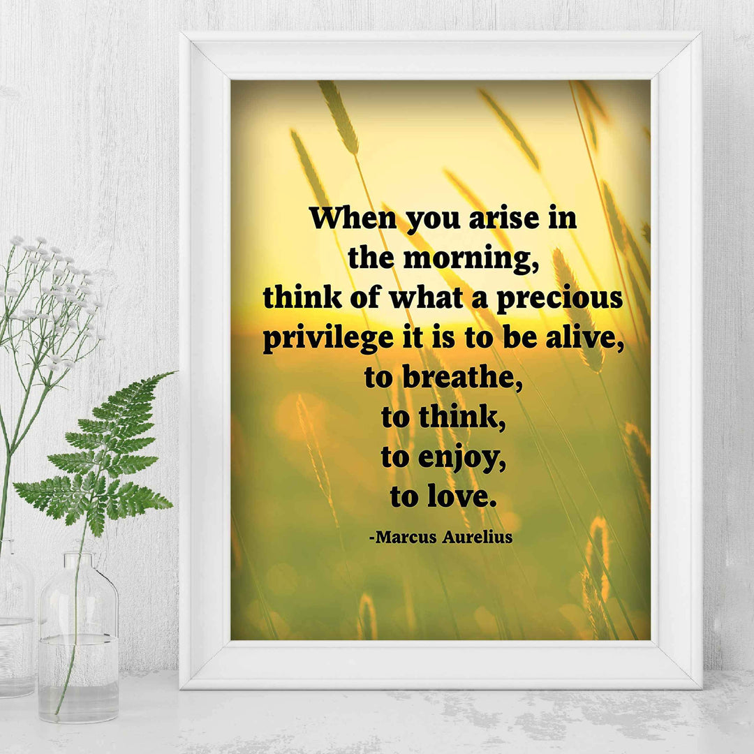 Marcus Aurelius Quotes-"When You Arise in the Morning"-Inspirational Wall Art -8 x 10" Sunset Meadow Print-Ready to Frame. Perfect Home-Office-Classroom-Dorm Decor. Great Philosophical Quote!