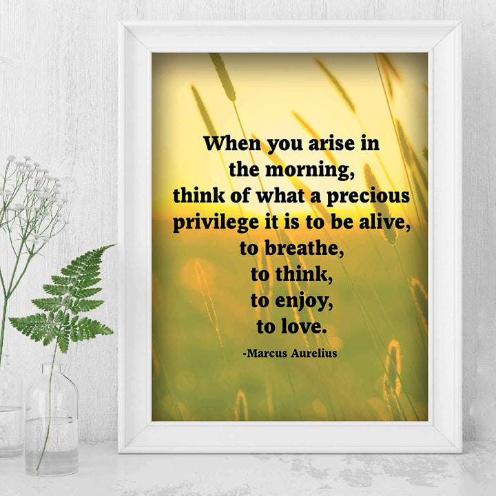 Marcus Aurelius Quotes-"When You Arise in the Morning"-Inspirational Wall Art -8 x 10" Sunset Meadow Print-Ready to Frame. Perfect Home-Office-Classroom-Dorm Decor. Great Philosophical Quote!