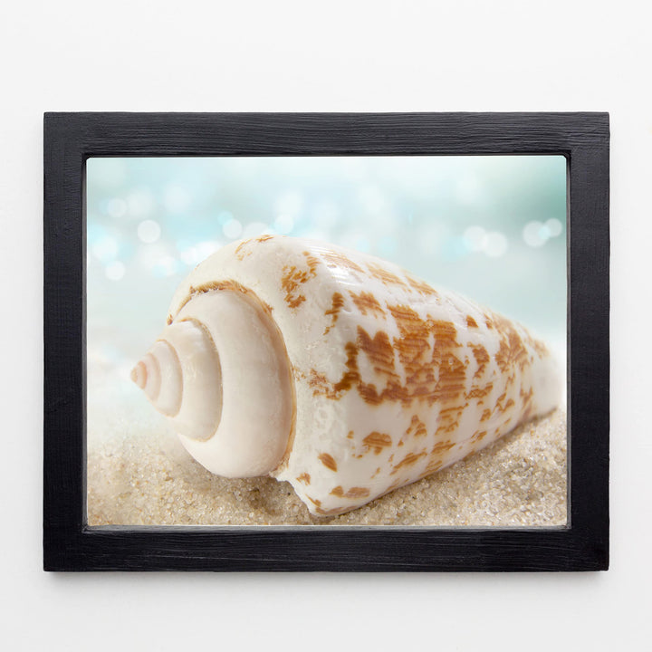 Seashell on the Shore- Beach Wall Art Decor -10 x 8" Sea Shell in the Sand Photo Print -Ready to Frame. Ocean &amp; Coastal Themed Decor for Home-Office-Studio-Beach House. Great Nautical Gift!