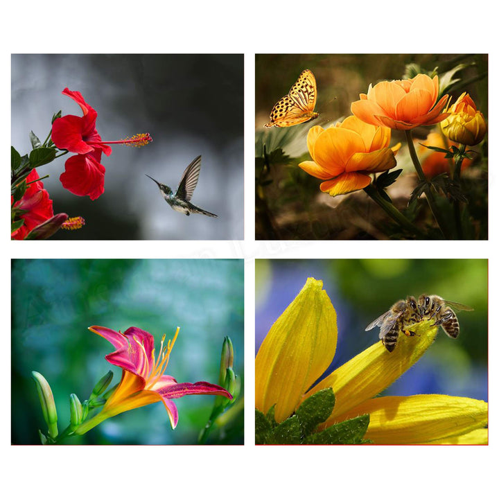The Birds, Bees, Butterflies &amp; Blooming Blossoms Wall Art Set- (4) 8 x 10&