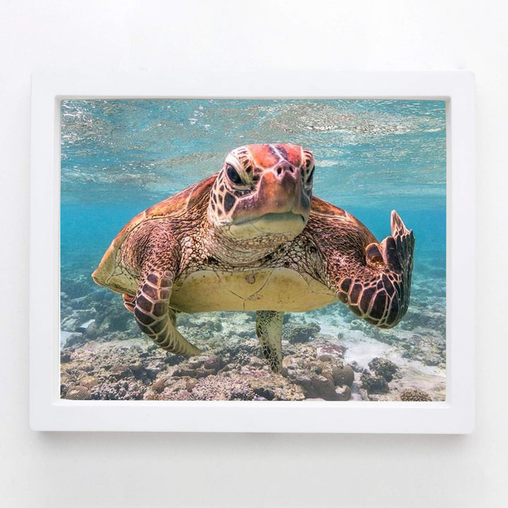 Sea Turtle Swimming In Ocean-Coral Reef -10x8" Colorful Marine Wall Art Print-Ready to Frame. Beach Decor for Home-Office-Studio-Beach House. Perfect for Coastal &amp; Nautical Themes! Great Gift!