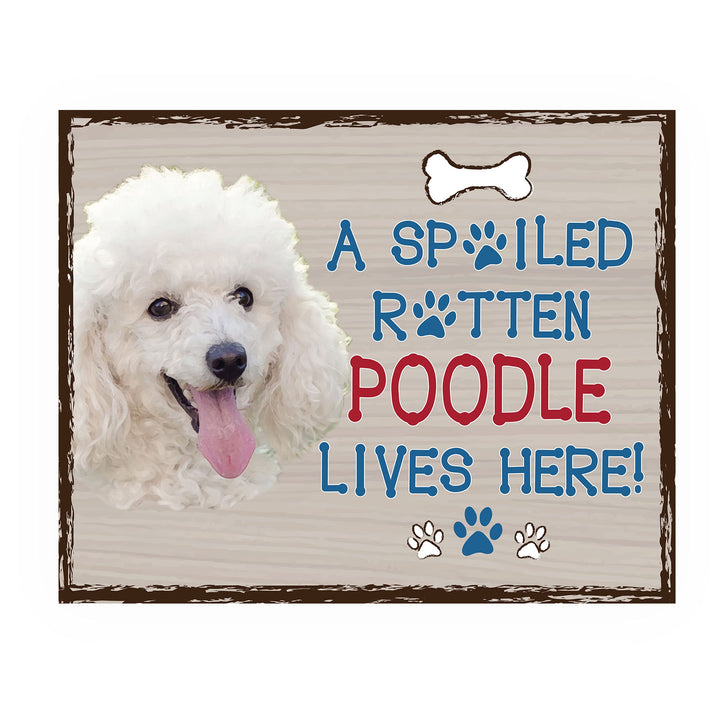 Poodle-Dog Poster Print-10 x 8" Wall Decor Sign-Ready To Frame."A Spoiled Rotten Poodle Lives Here". Perfect Pet Wall Art for Home-Kitchen-Cave-Bar-Garage. Great Gift for All Poodle Owners.