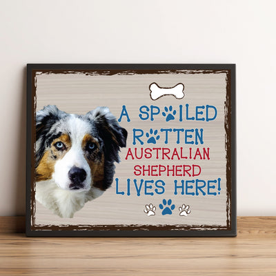 Australian Shepherd-Dog Poster Print-10 x 8" Wall Decor Sign-Ready To Frame."A Spoiled Rotten Australian Shepherd Lives Here". Perfect Pet Wall Art for Home-Kitchen-Cave-Garage. Gift for Aussie Fans!