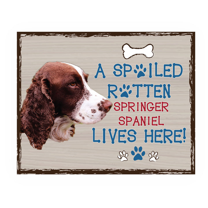 Springer Spaniel-Dog Poster Print-10 x 8" Wall Decor Sign-Ready To Frame."A Spoiled Rotten Springer Spaniel Lives Here". Pet Wall Art for Home-Kitchen-Garage. Gift-English Springer Spaniel Owners!